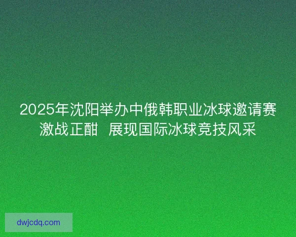 2025年沈阳举办中俄韩职业冰球邀请赛激战正酣  展现国际冰球竞技风采