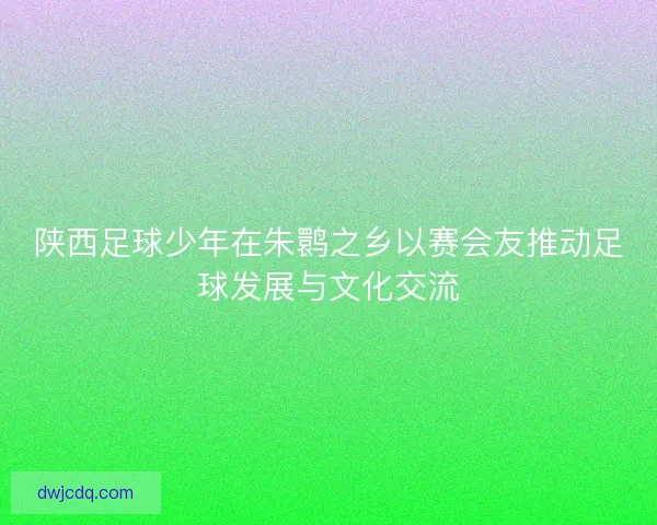 陕西足球少年在朱鹮之乡以赛会友推动足球发展与文化交流