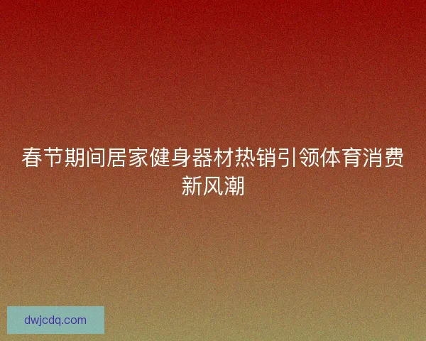 春节期间居家健身器材热销引领体育消费新风潮