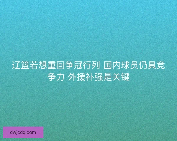 辽篮若想重回争冠行列 国内球员仍具竞争力 外援补强是关键 辽篮若想重回争冠行列 国内球员仍具竞争力 外援补强是关键